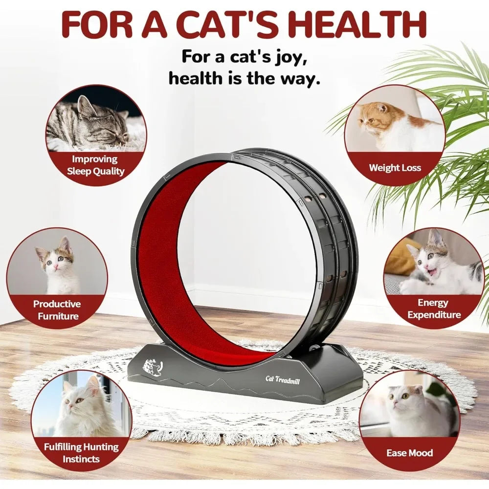 Cat Wheel for Indoor Cats, 31.5" Exercise Running Wheel