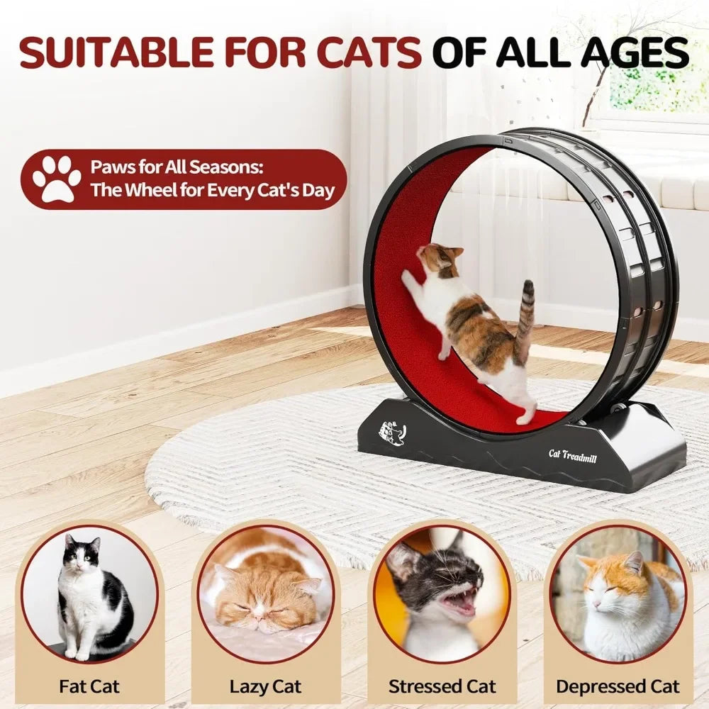 Cat Wheel for Indoor Cats, 31.5" Exercise Running Wheel