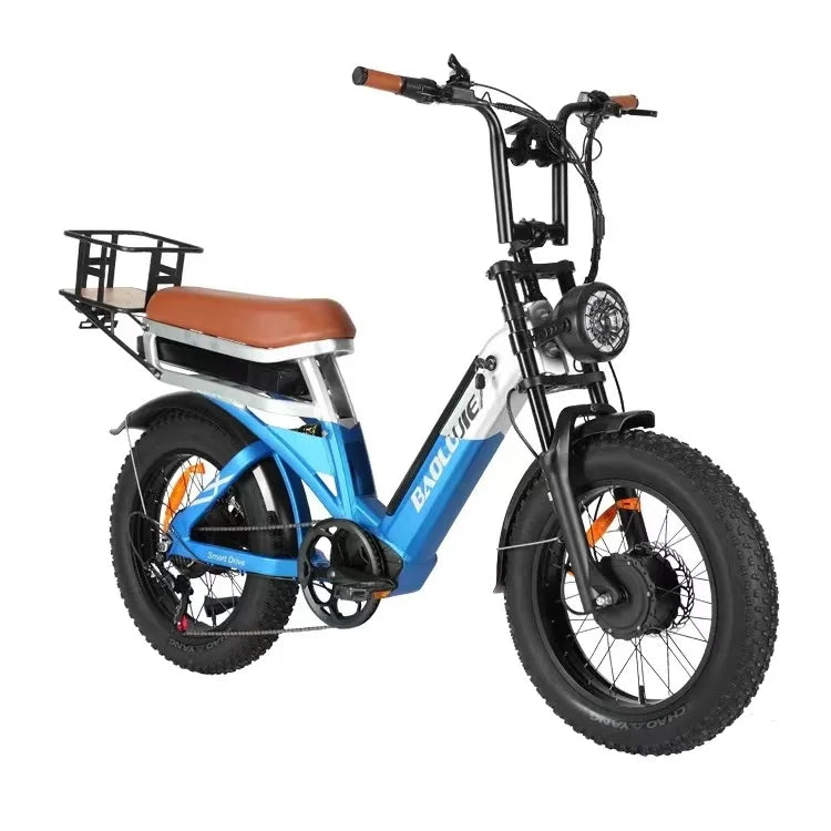 Electric Bicycle 2000W Dual Motor 48V30AH Lithium Battery