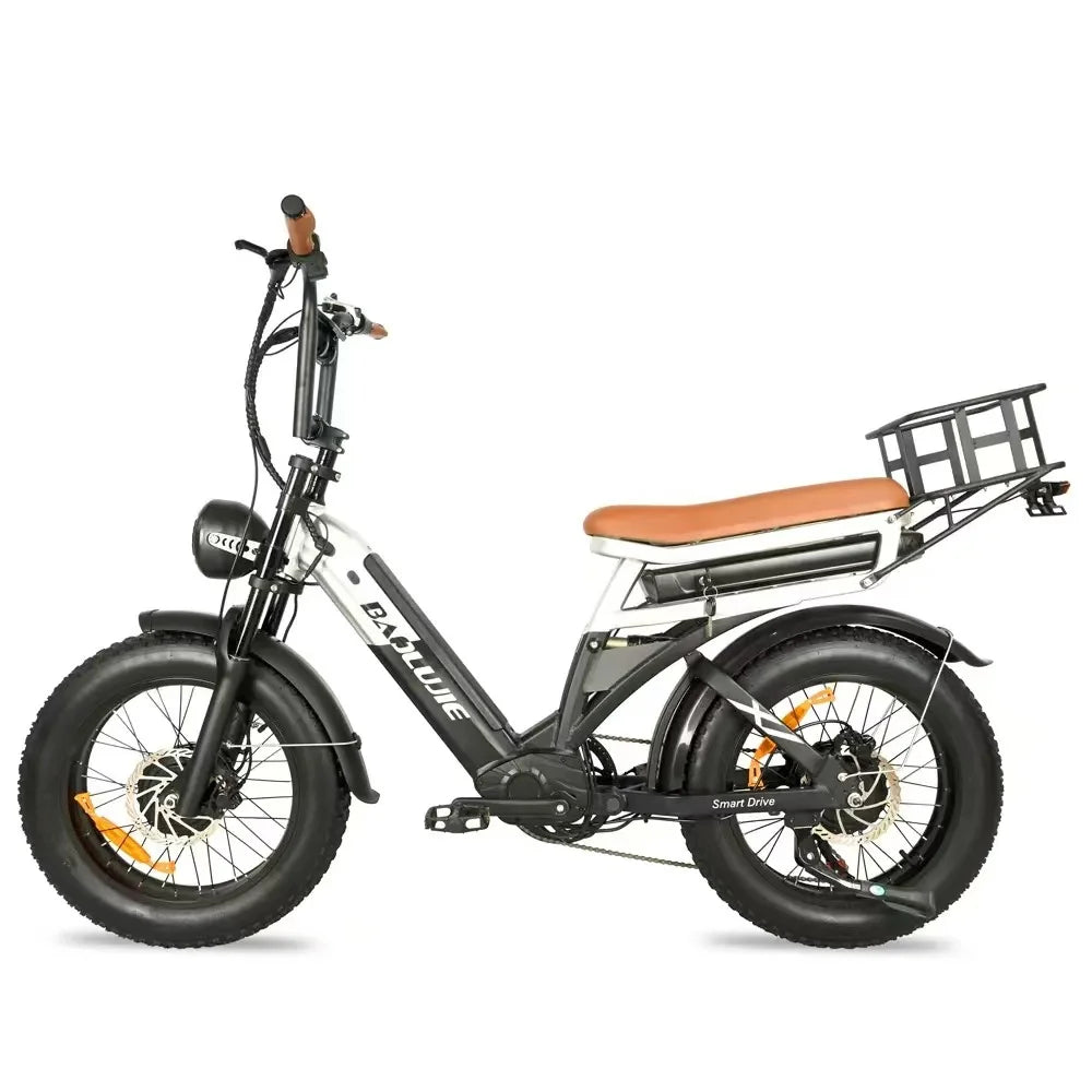 Electric Bicycle 2000W Dual Motor 48V30AH Lithium Battery