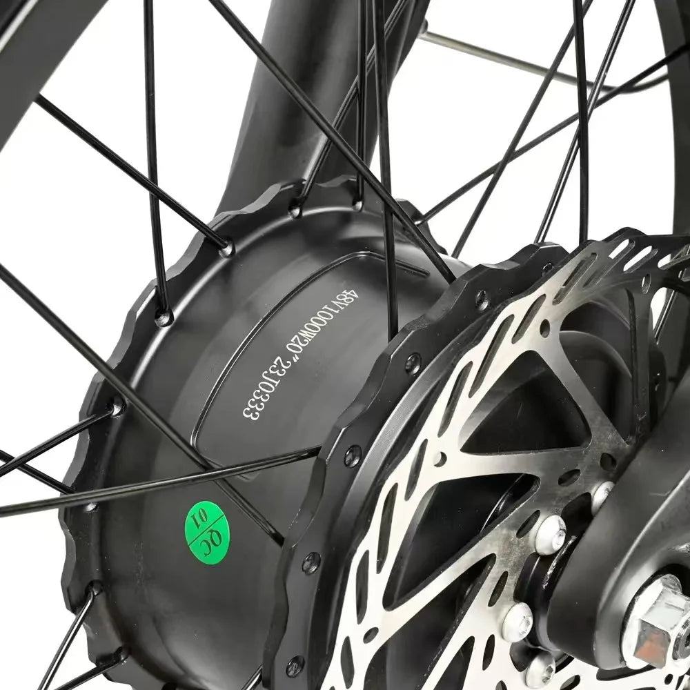 Electric Bicycle 2000W Dual Motor 48V30AH Lithium Battery
