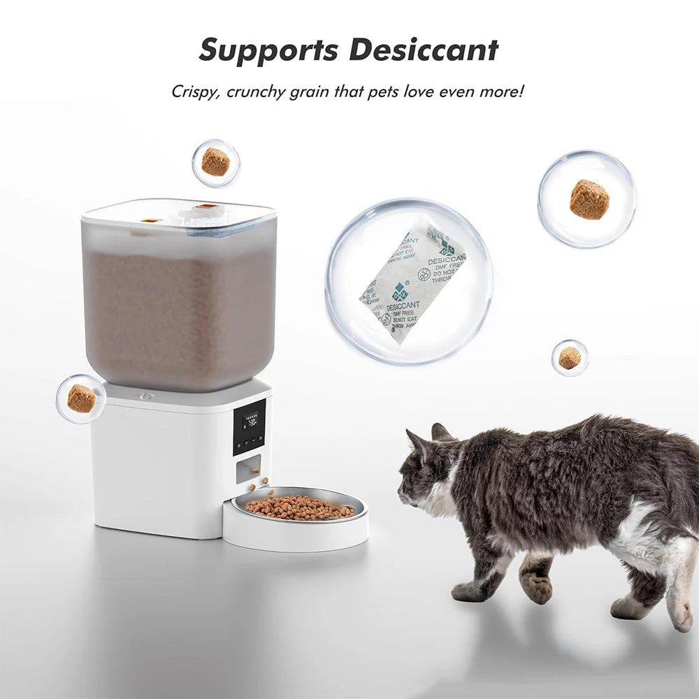 Automatic Cat Feeders with Key Control