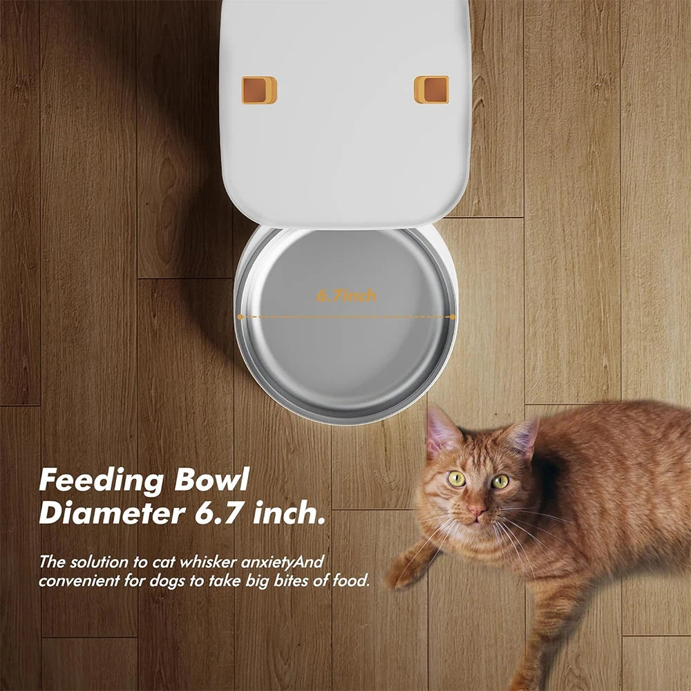 Automatic Cat Feeders with Key Control