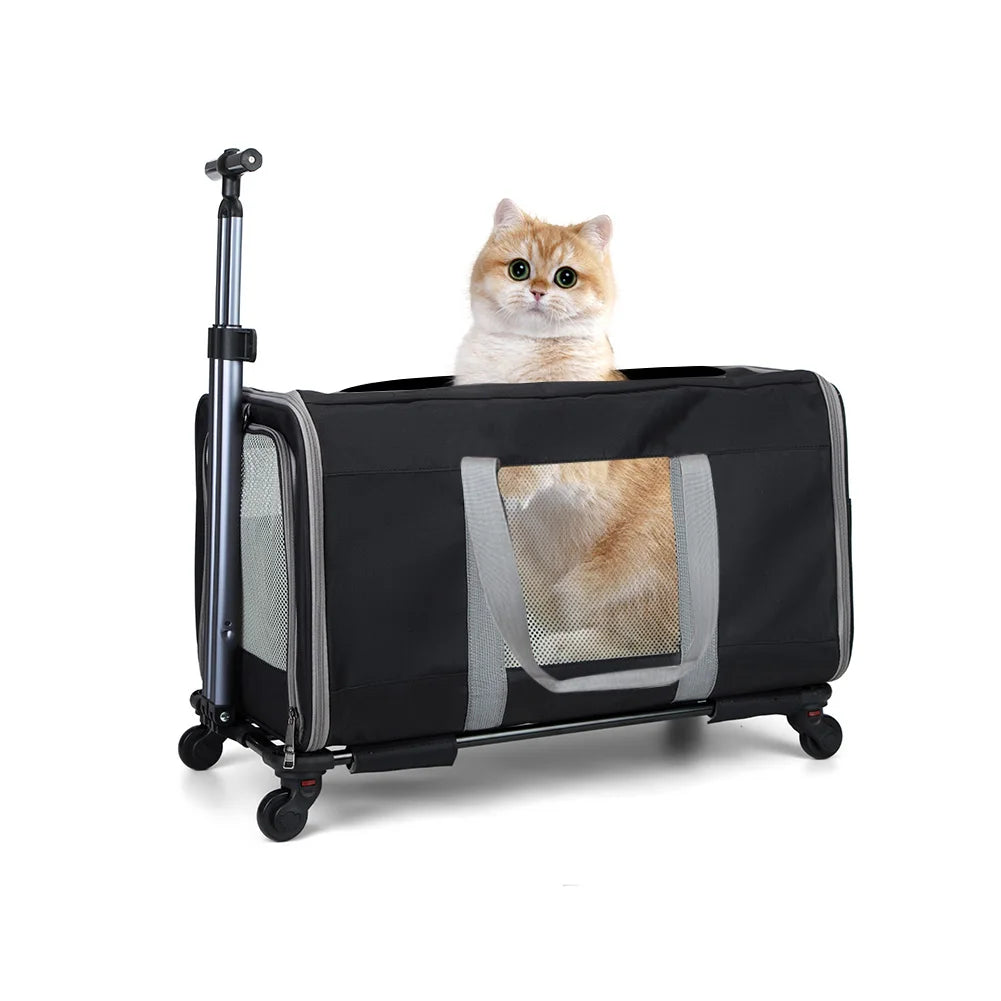 Cat trolley for 2 cats – Cat transport box large with wheels for 2 animals