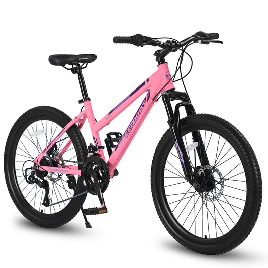 Mountain Bike   26 Inch Wheels, 21-Speed Disc Brake, Female