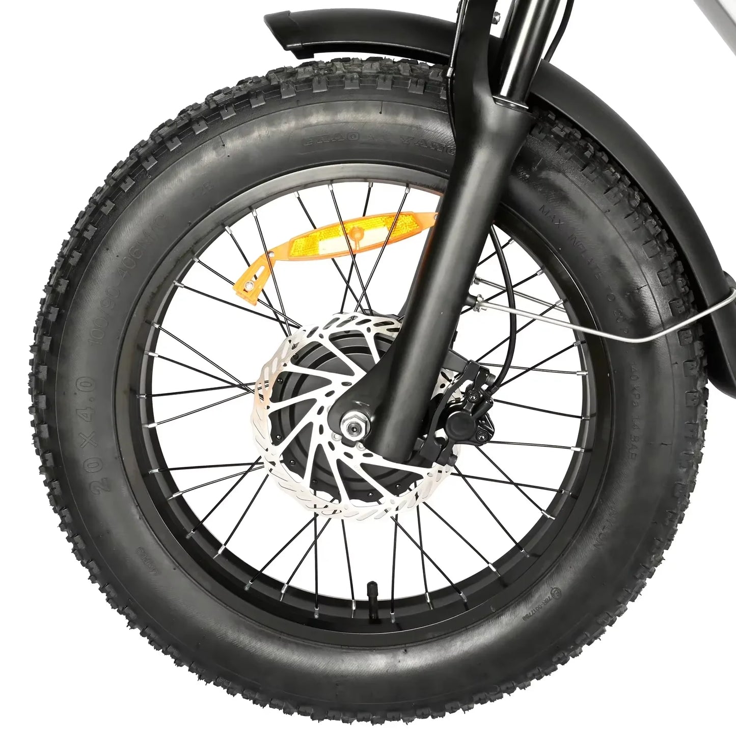 Electric Bicycle 2000W Dual Motor 48V30AH Lithium Battery