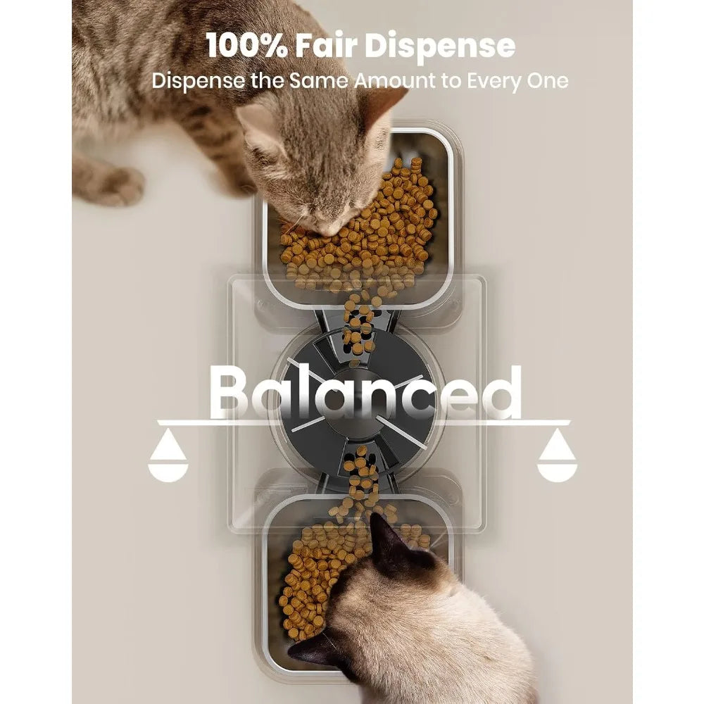 Automatic Cat Feeder for 2 Cats, 2   for Small Pets Indoor, Timed Cat Feeder for Dry Food