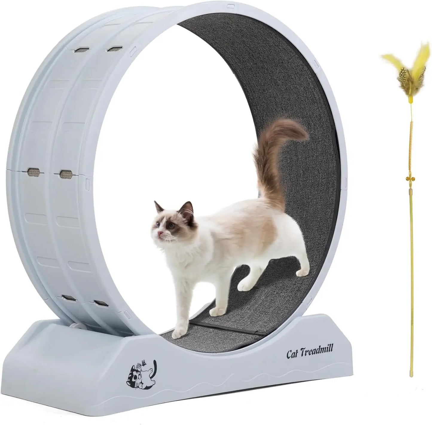 Cat Wheel for Indoor Cats, 31.5" Exercise Running Wheel