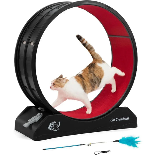 Cat Wheel for Indoor Cats, 31.5" Exercise Running Wheel
