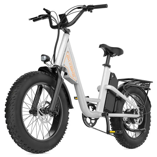L1 Adult Electric Bike 1000W Motor 34MPH 48V 15.6Ah Battery