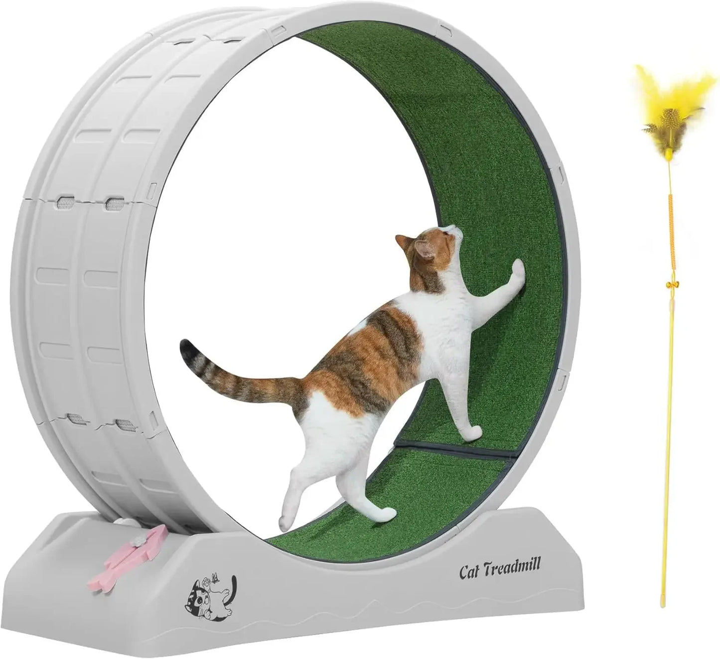 Cat Wheel for Indoor Cats, 31.5" Exercise Running Wheel