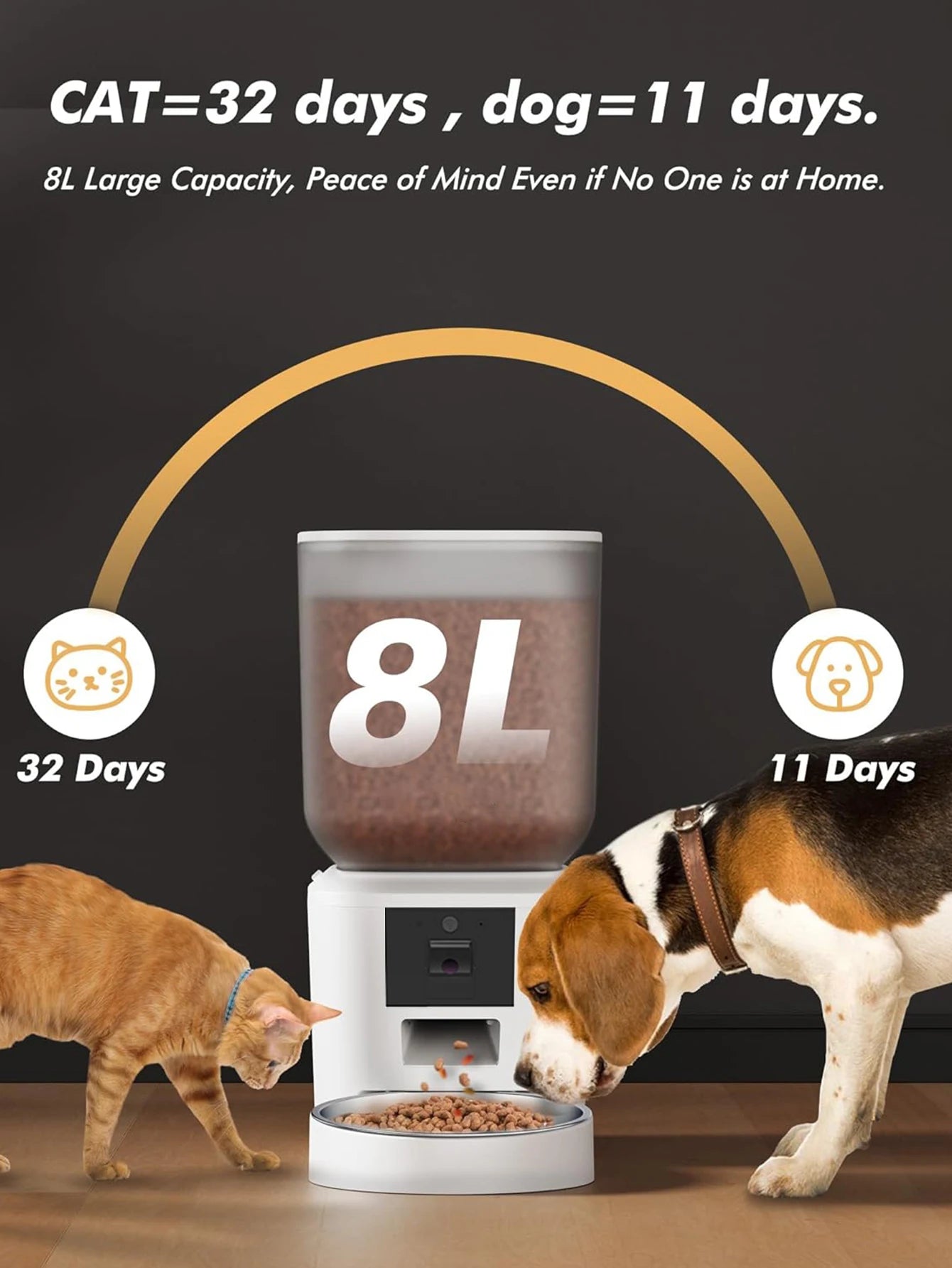 Automatic Cat Feeders with Key Control