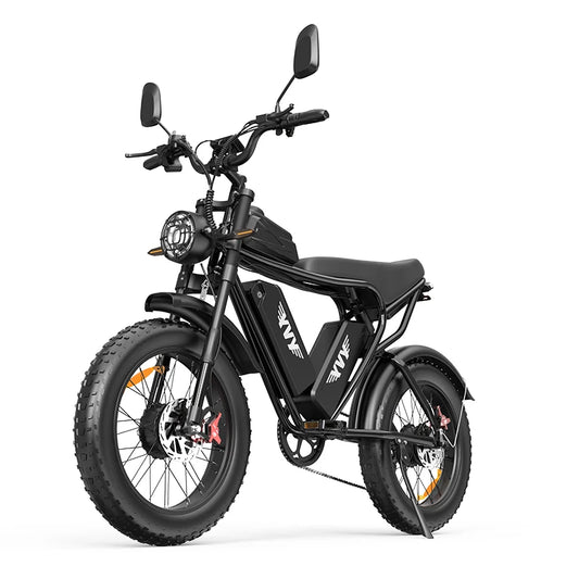 Electric Bicycle 2000W Dual Motor 52V40AH Dual Battery Ebike Top Speed 55KM/H  Electric Mountain Bike