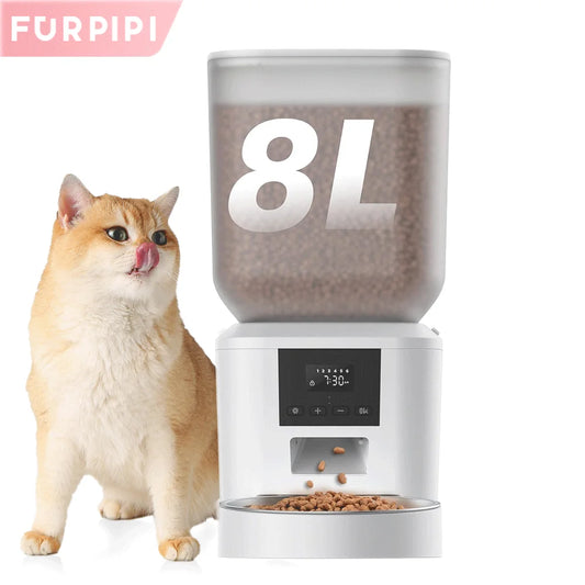 Automatic Cat Feeders with Key Control