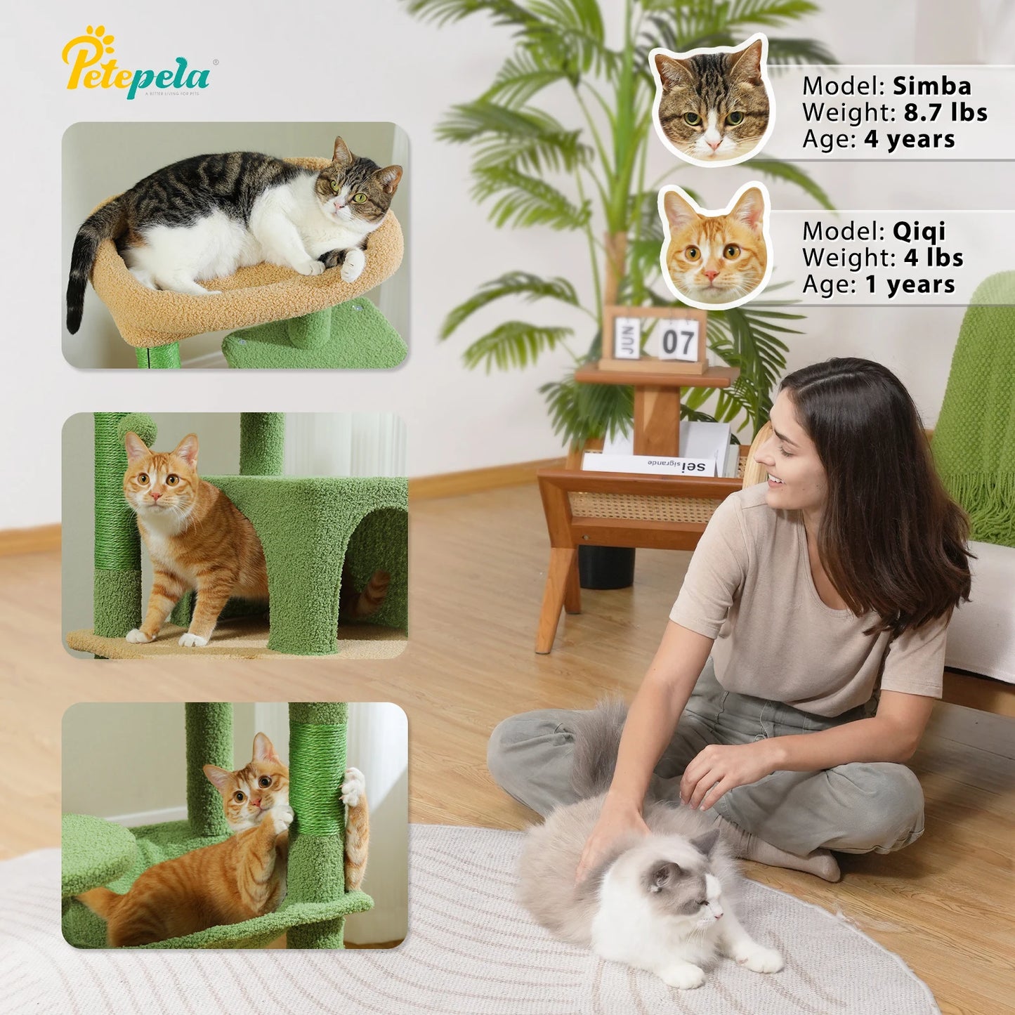 Cat Tree for Indoor Cats, 5-Level Cat Tower for Large Cats with Metal Frame